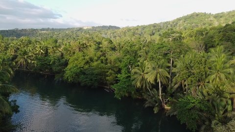 View from above on Loboc river in tropical jungle green rainforest with traditional boats, Bohol Island in Philippines, the calm river in the asian rainforest among the green trees, Aerial Loboc River