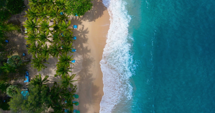 Aerial view drone shot Top-view of Coconut palm trees Top-down view. Green palm tree on beach and sea, Seawater wave on sandy beach. Beach on the tropical island. (4K DCI 4096x2160p 10bit 4:2:2) | Shutterstock HD Video #1078897199