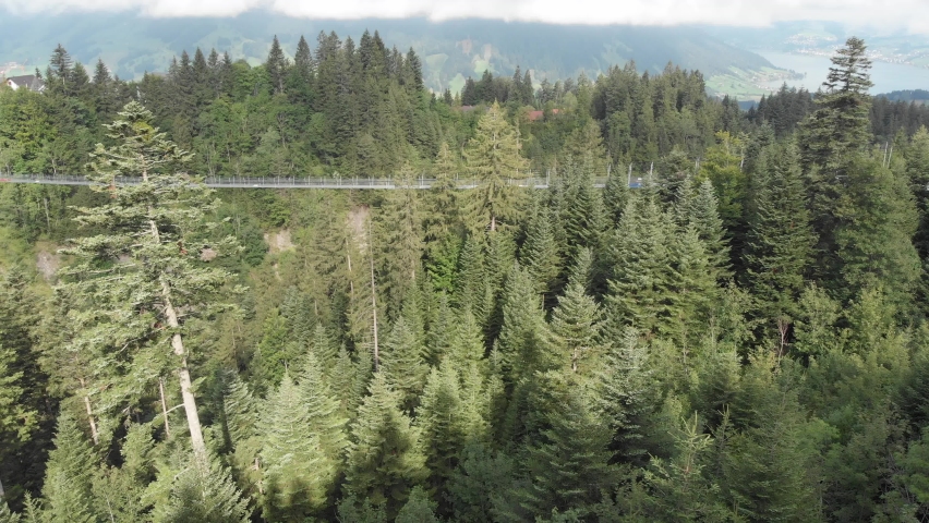 Pedestrian suspension bridge in the Sattel region of Lucerne in Switzerland. Switzerland. Video filming from a quadcopter.
