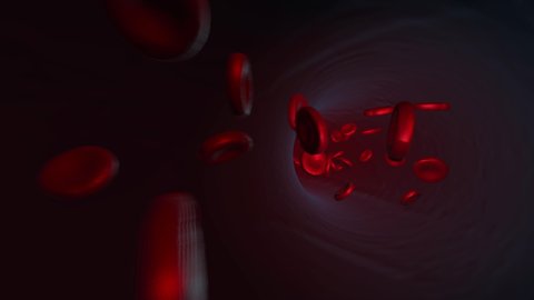 Red red blood cells flowing inside a human vein, vessel. The lymph system. Health problems, tests. High-quality 3D Animation related to science