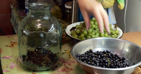 Home canning. A woman puts a rowan chokeberry and grapes in a glass jar for making canned compote.  Close-up. Siberia.