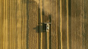 Drone flies over industrial harvester in agricultural field harvesting wheat. Location place of Ukrainian agrarian region. Cinematic aerial shot. Season of gathering crops. Filmed in 4k, drone video.