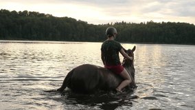 horse swim swimming wading walking in water lake sunset - Powered by Shutterstock - Get 15% off with code: PIKWIZARD15