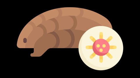 Pangolin and Covid 19 Animated Icon. With Transparent Background