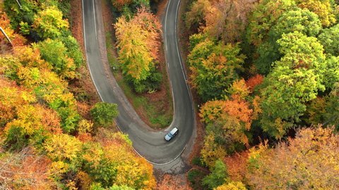 Colorful aerial footage with the view of a road bend, following a car driving through the beautiful autumn forest landscape