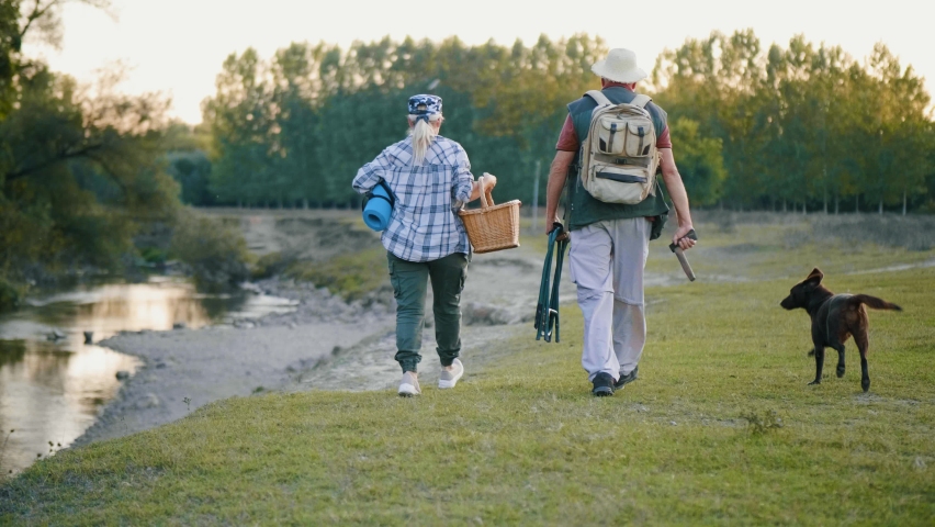 Slow motion: Tourist senior couple  walking in nature with a dog. Hiker traveler old man in hat with backpack hiking in nature. bio-tourism. Following Back View Shot