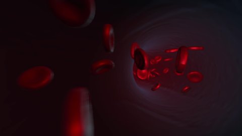 Red red blood cells flowing inside a human vein, vessel. The lymph system. Health problems, tests. High-quality 3D Animation related to science