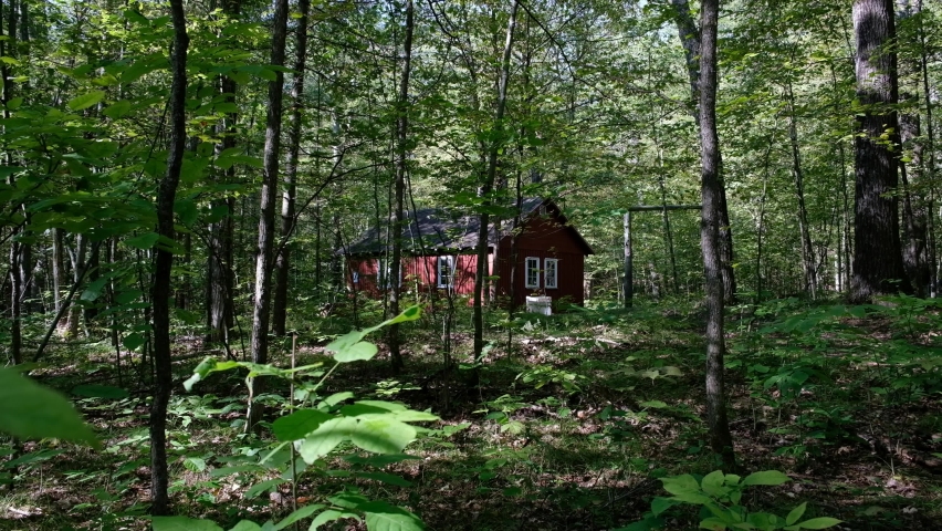 An old hunting cabin sits deep in the woods of Michigan.
