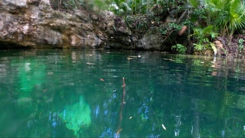 Tilt up from tropical turquoise clear water to reveal a cenote surrounded by a cliff of rain forest in Riviera Maya, Mexico near Tulum and Cancun on vacation.