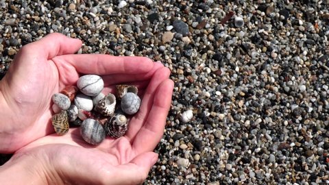 video Small seashells lie on female hands against background of sea, water, waves, sea foam. Woman holds in hands full handful of small seashells, close-up. Concept of vacation, holidays. Summer time.
