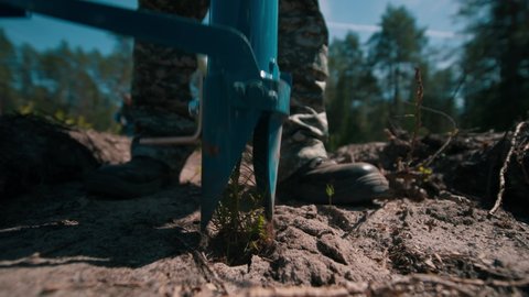 Planting young pine trees. Growing forests, planting forests in forestry. Planting a forest using a special device. High quality 4k footage