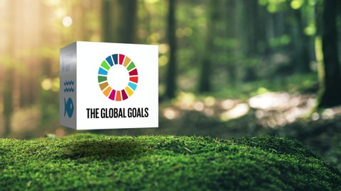 
Sustainable Development Climate Action in Moss Forrest Background Motion Graphic Animation 17 Global Goals Concept Cube Design