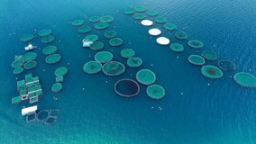 Aerial drone video of latest technology auto feeding fish farming  - breeding unit of sea bass and sea bream in huge round cages located in calm Mediterranean sea