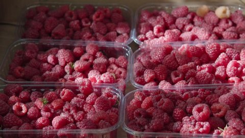 The sun's rays fall on the berries of ripe juicy raspberries in transparent boxes. Farming, harvesting concept.