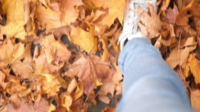 Legs walk over the autumn multi-colored maple foliage. View from above. Slow motion video