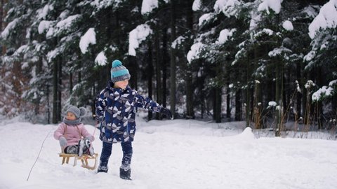 Wideo of boy pulling sledge with little sister in snow. Shot with RED helium camera in 8K.