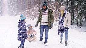 Family pulling sleds through snow in the forest.  Shot with RED helium camera in 8K. - Powered by Shutterstock - Get 15% off with code: PIKWIZARD15
