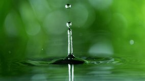 Super slow motion of dropping water with green leaf, spa and wellness concept. Filmed on high speed cinema camera. - Powered by Shutterstock - Get 15% off with code: PIKWIZARD15