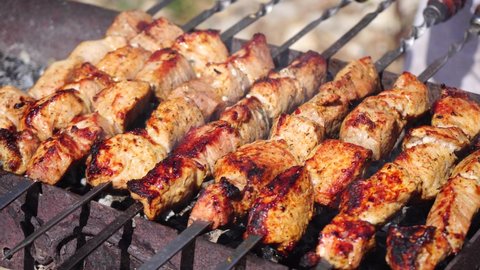 Barbecue Grilled pork kebabs meat lamb kebab marinated barbecue meat shashlik shish kebab outdoors picnic. Shashlik or Shish kebab popular in Eastern Europe and Russia.