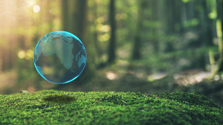 17 Global Goals Concept Earth Plexus Design in Moss Forrest Background Motion Graphic Animation | Shutterstock HD Video #1079085677