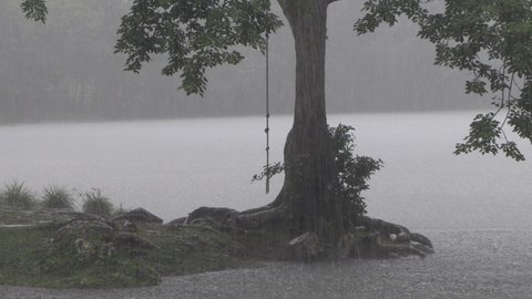 strings hanging from a comma tree in the rain, misty gray atmosphere, dark and stressful