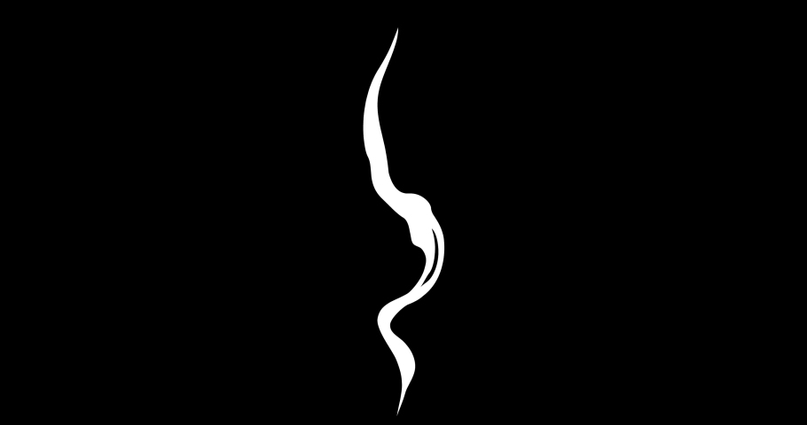Looped vector animation of cigarette smoke  on black background