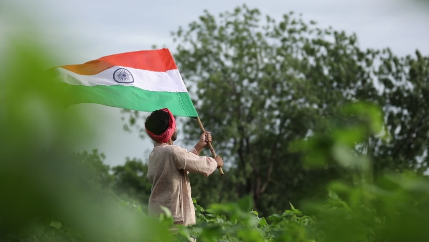 young indian farmer waving indian flag at agriculture field