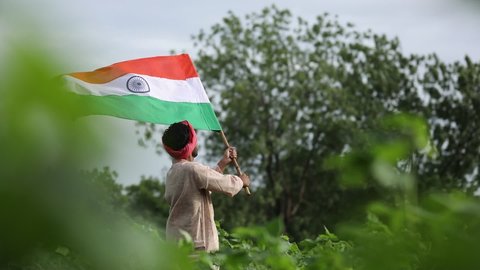 young indian farmer waving indian flag at agriculture field