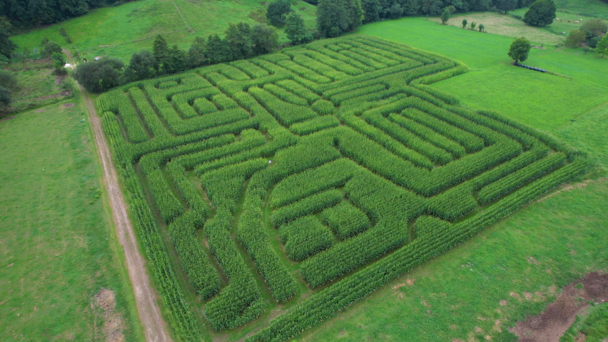 Labyrinth made in a corn field near the Pisueña River. The Flower Labyrinth in San Roman. Municipality of Santa Maria de Cayon. Cantabria, Spain, Europe