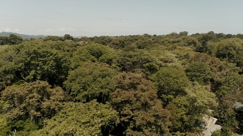 gorgeous Tropical island drone shot of Punta Mona Costa Rica. flying over beach and green tree forest