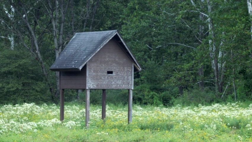 Bat House Isolated On Lush Forest Woods At Springtime In Elk Mountain Campground. - Static