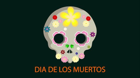 Skull with flowers for the day of death in the Mexican holiday DIA DE LOS MU, art video illustration.