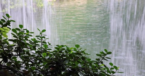 grass waterfall near Admiralty, Hong Kong Zoological and Botanical Gardens