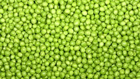 Fresh green peas. Loop motion. Top view. Rotation 360. 4K UHD video footage 3840X2160