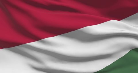 Hungary national flag footage. Hungarian waving country flag on wind