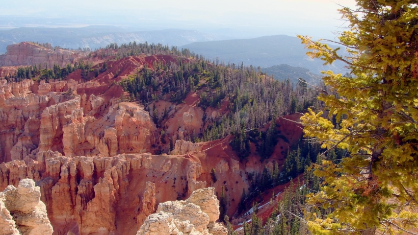 Hoodoos at Bryce Canyon National Park in Utah. Camera panning from right to left.
