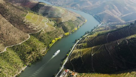 Panoramic view of cruise ship traveling between green mountains on Douro river, Peso da Regua, Vila Real, Portugal, Europe. Drone shot of rows of vineyards growing on banks of river, 4k footage