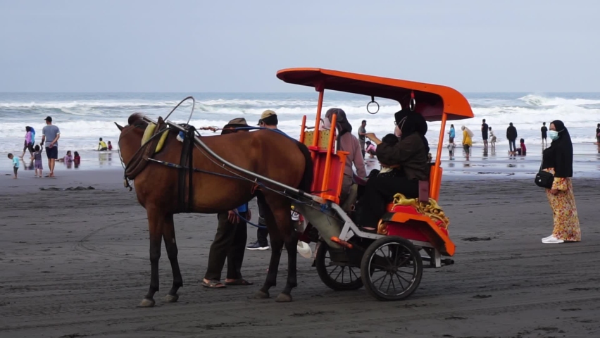 Horse Drawn Stock Video Footage - 4K and HD Video Clips  Shutterstock