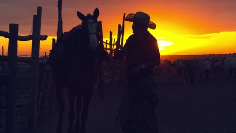 Corumba , Brazil - 06 11 2021: Corumba, Brazil - June 2021: A cowboy mounts his horse at sunset - silhouette