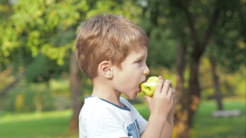 A small blond boy in an apple orchard, in a white T-shirt, in profile, biting, green, not ripe, not washed, sour apple, not washed hands, dysentery, summer, autumn, children