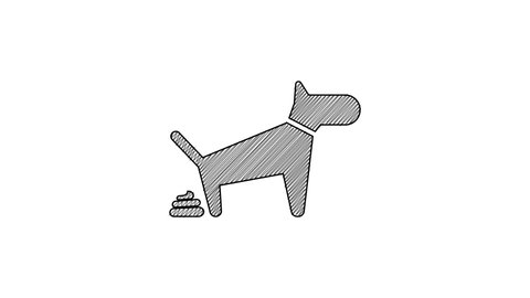Black line Dog pooping icon isolated on white background. Dog goes to the toilet. Dog defecates. The concept of place for walking pets. 4K Video motion graphic animation.