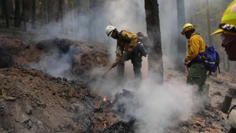 CIRCA 2020s - U.S. Soldiers reinforce control lines by mopping up possible hot spots to remove remaining fuel while fighting the Dixie Fire.