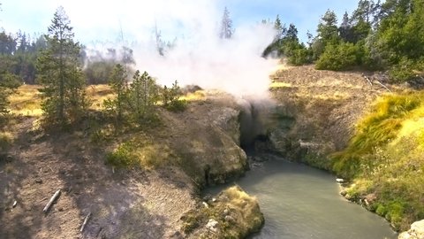 Cherry Tree Blossom Explosion Hurd Park Stock Photo 630092342 ...