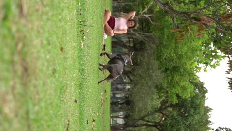 Pit bull dog playing in park with young girl. Running to catch the ball. Open countryside with a lot of nature.