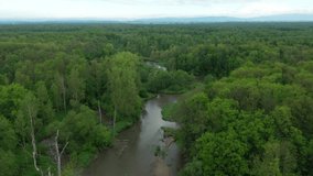Meanders river delta river dron aerial video shot inland in floodplain forest and lowlands wetland swamp, quadcopter view flying fly flight show, protected landscape area of Litovelske Pomoravi