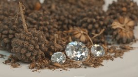 white diamonds on a pile of new economic crop seed. 
new economic crops After unlocking from being a narcotic Become a diamond of agriculture in Thailand. 
high quality 4K video. 