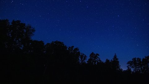 Starry sky over forest.4k time lapse video.
