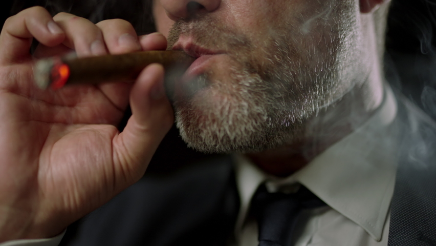 Powerful government member smoking cigar, self-importance, face close up | Shutterstock HD Video #1079244128