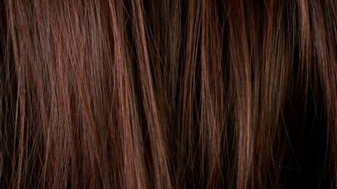 Super slow motion of beautiful healthy long smooth flowing brown hair. Filmed on high speed cinematic camera at 1000 fps.