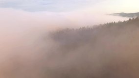 Drone flies through thick fog over the mountains on a sunny day. Location place Carpathian mountains, Ukraine, Europe. Cinematic aerial shot. Discover the beauty of earth. Filmed in 4k, drone video.
